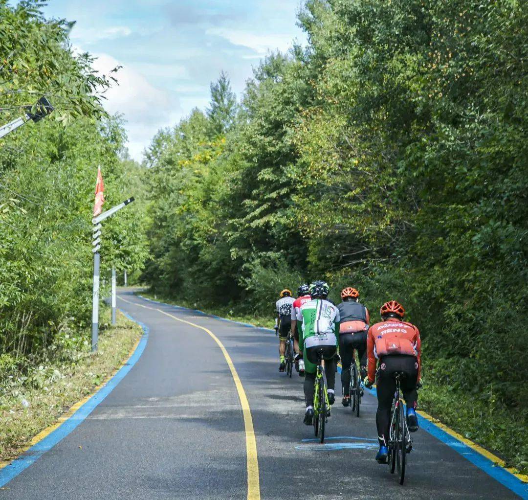 到最好的骑行"公园"里,奔赴盛夏!_长白山_线路_森林
