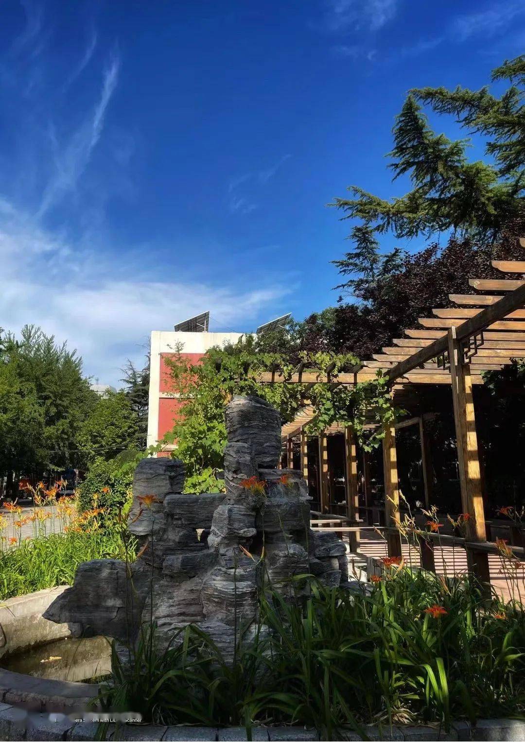 【中招政策】首师大附属丽泽中学:招生计划增加 实验班师资配置强大