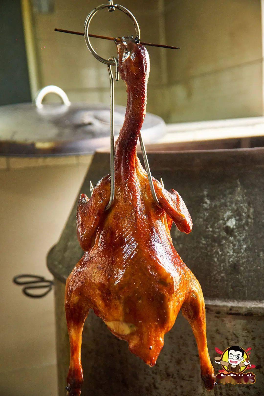 正宗荔枝柴烧鸡,生蚝鸡煲,仅13.8元抢!