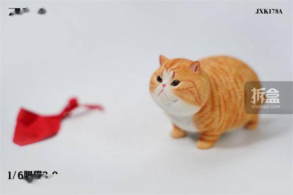 JXK 1/6 肥猫3.0 可爱萌系猫咪宠物模型摆件手办潮玩_搜狐网