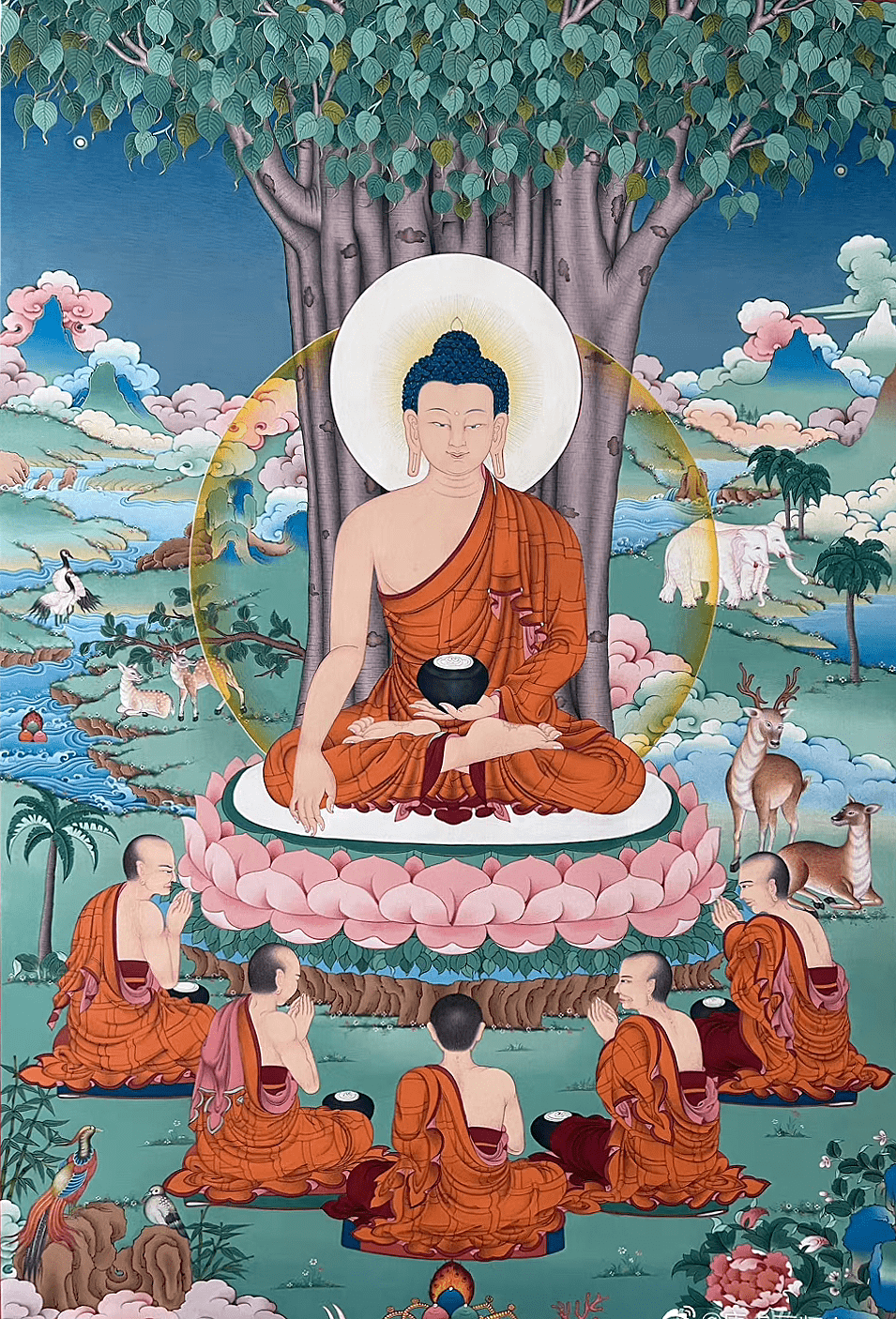 一次意外事件，愚笨的他证果了！_比丘得_时老_诸少