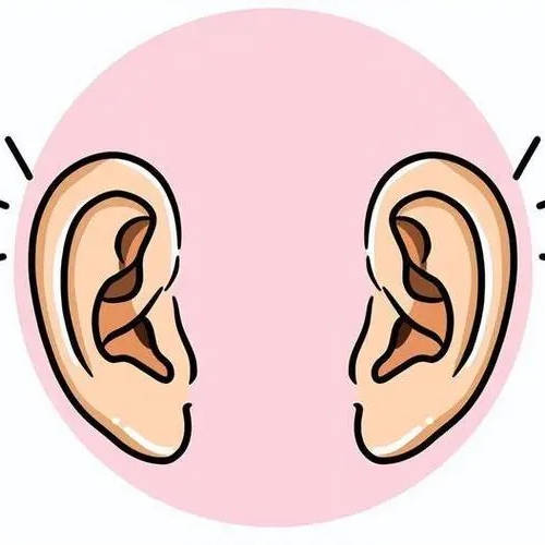 双耳听损，只配一只助听器行不行？_声音_听力_耳朵