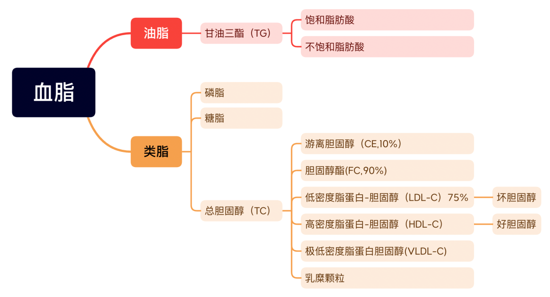 血脂指标这么多,总是分不清?一文总结!_胆固醇_风险_颗粒