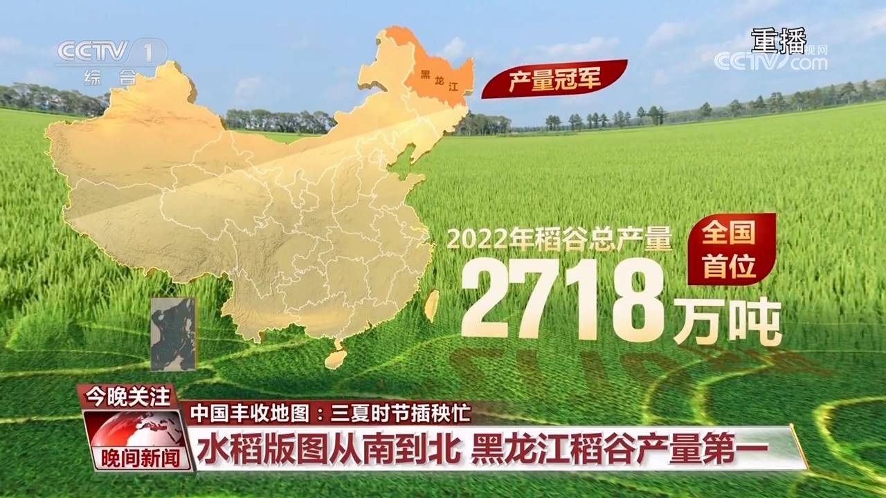 中国丰收地图:三夏时节插秧忙_水稻_秧苗_稻田