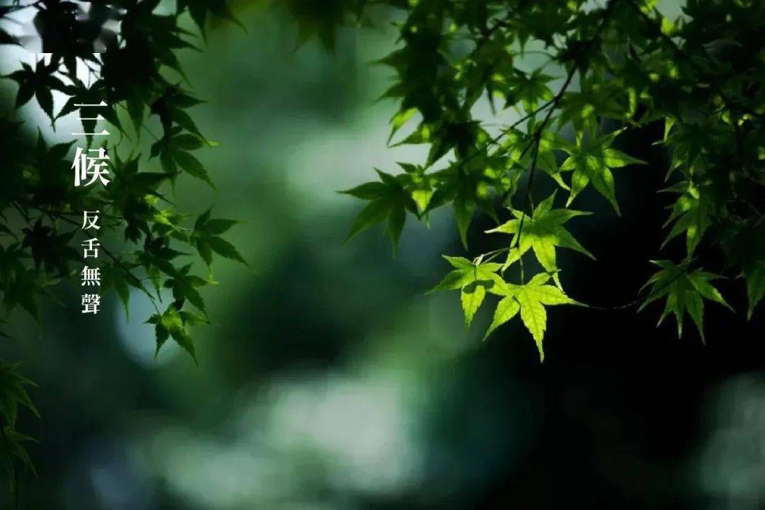 今日芒种：芒种忙种，一举高中（唐元稹芒种看今日）