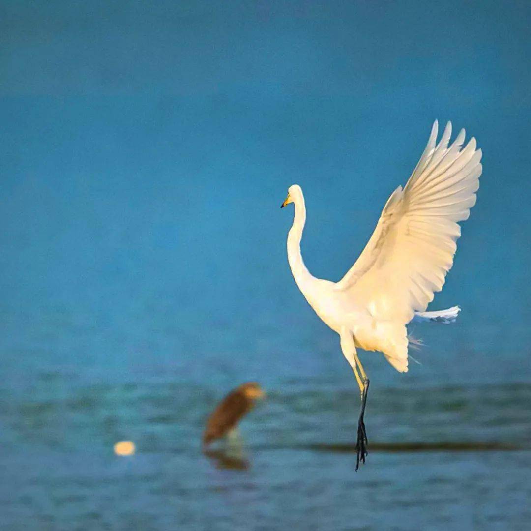 【光影展厅】——夏炎金_摄影_金银湖_爱好