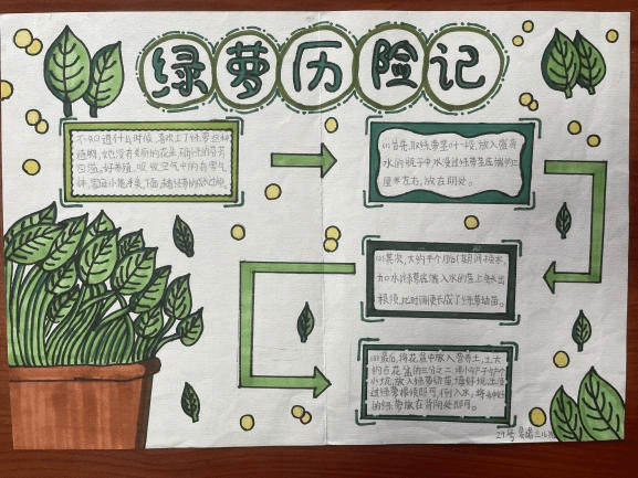 童心献礼十周年 科技筑梦向未来——"苹果树"科技节之中年段自然笔记