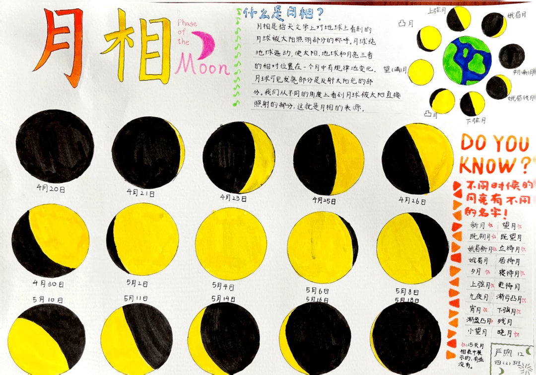 童心献礼十周年 科技筑梦向未来——"苹果树"科技节之中年段自然笔记