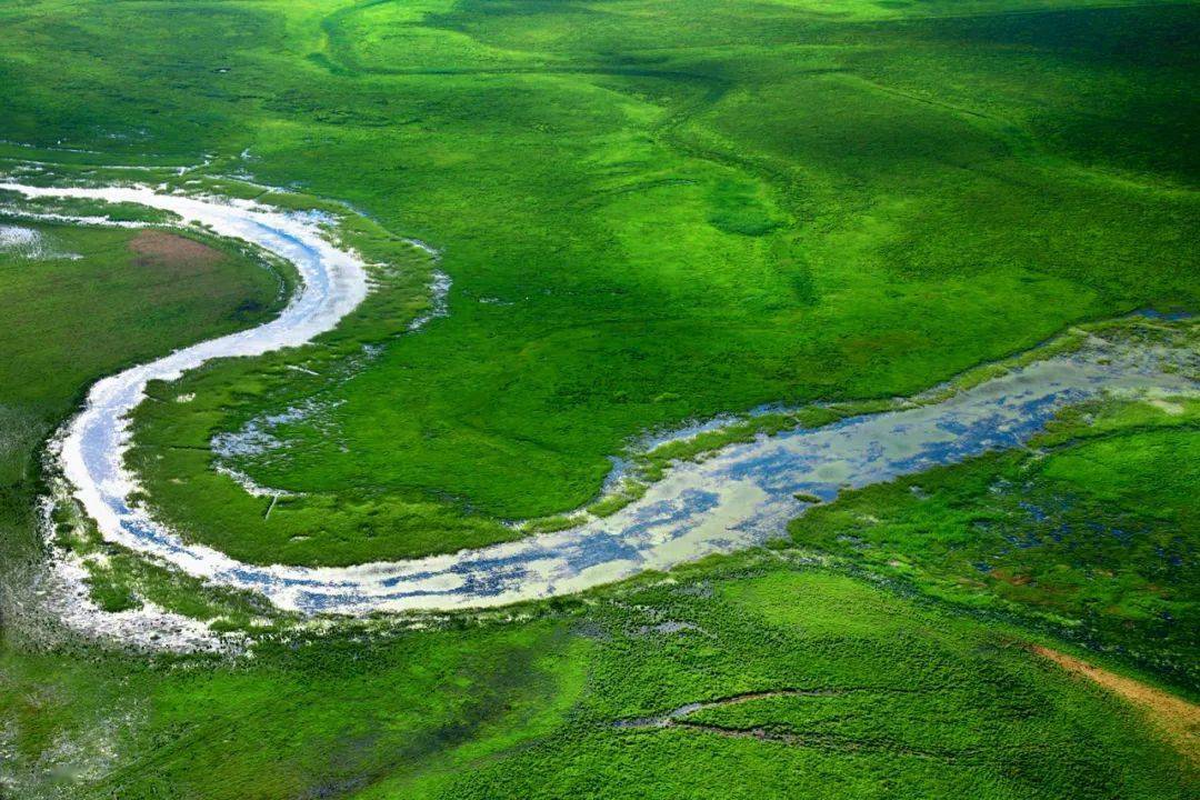 【黑龙江湿地日】四季如画 生命如歌 大美七星河湿地欢迎您!
