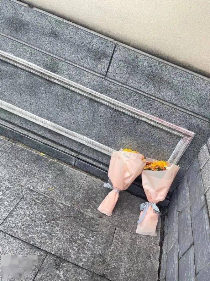 “她刚失去孩子，又遭网暴”！小学生校内被撞离世后，母亲坠楼身亡......-小学生在学校被车撞死