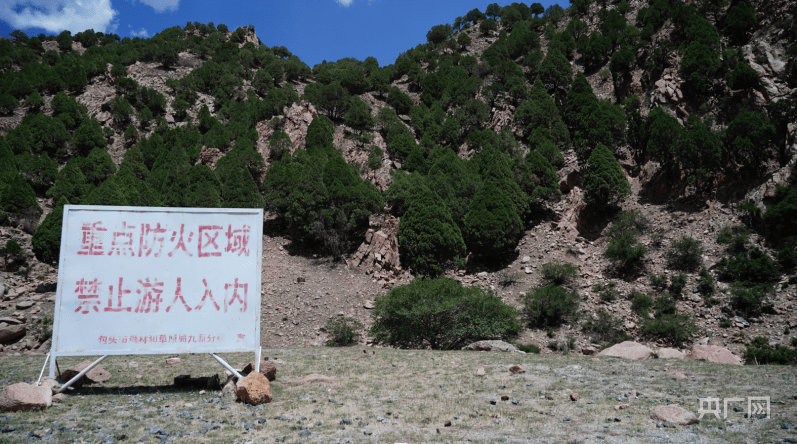 内蒙古九原区：长效发展林长制 擦亮生态底色