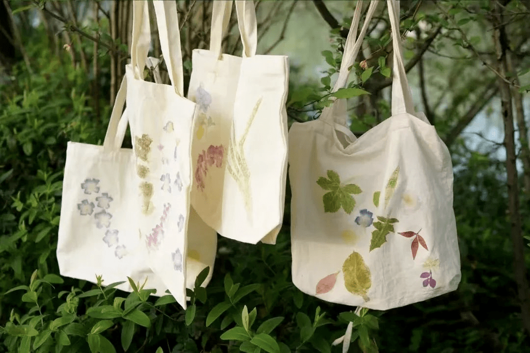 拓染活动招募|撷一叶流彩,拓自然之语,将自然镌刻在时光里_植物_世纪