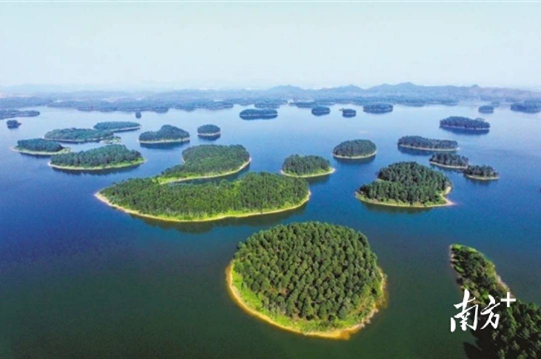 加快推进水库除险加固工程,开平大沙河水库焕新颜