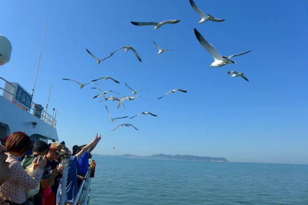 烟台蓬莱长岛 避暑亲子4日纯玩 踏浪赶海 喂海鸥 拔蟹笼 海昌鲸鲨馆