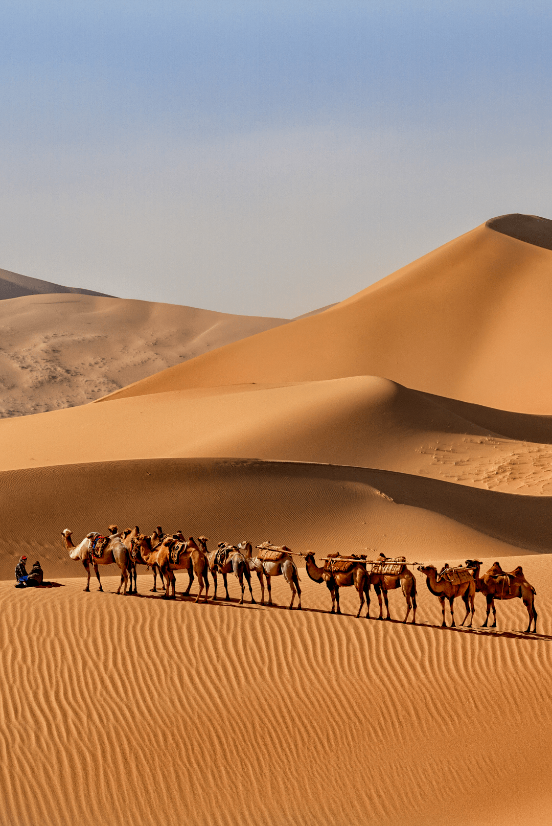 这里不光有草原,还有森林,湖泊,沙漠,火山等,美景数不胜数.