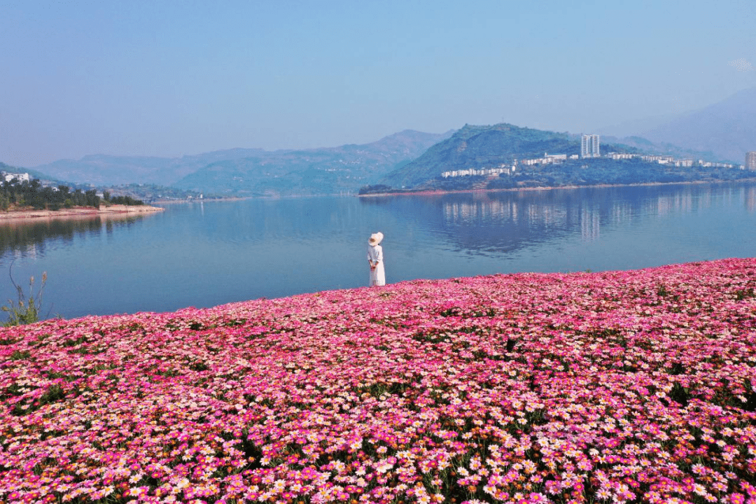 绥江风景图图片