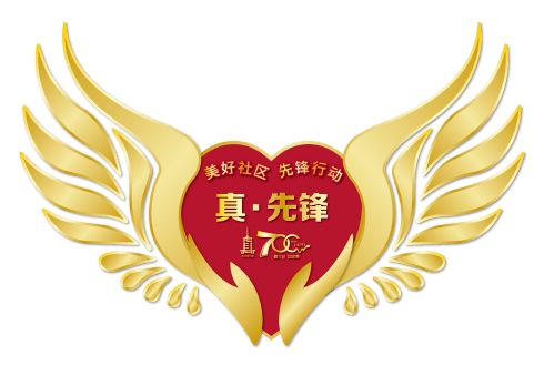 徽章为引,先锋领航!