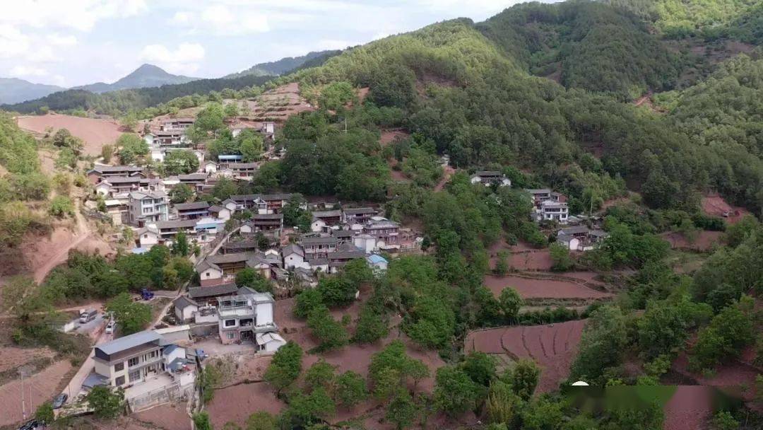 【苍洱处处石榴红】云龙县团结乡:绽放团结花_活动_进步_中华民族