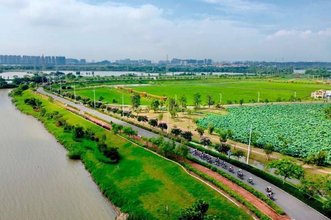 雲東海國家溼地公園湖光秀色,風景獨好.