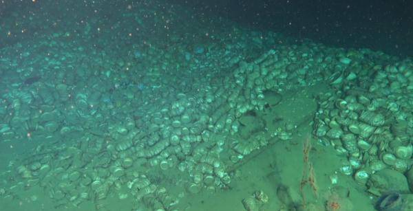 “深海”震撼！南海古代沉船考古调查纪实