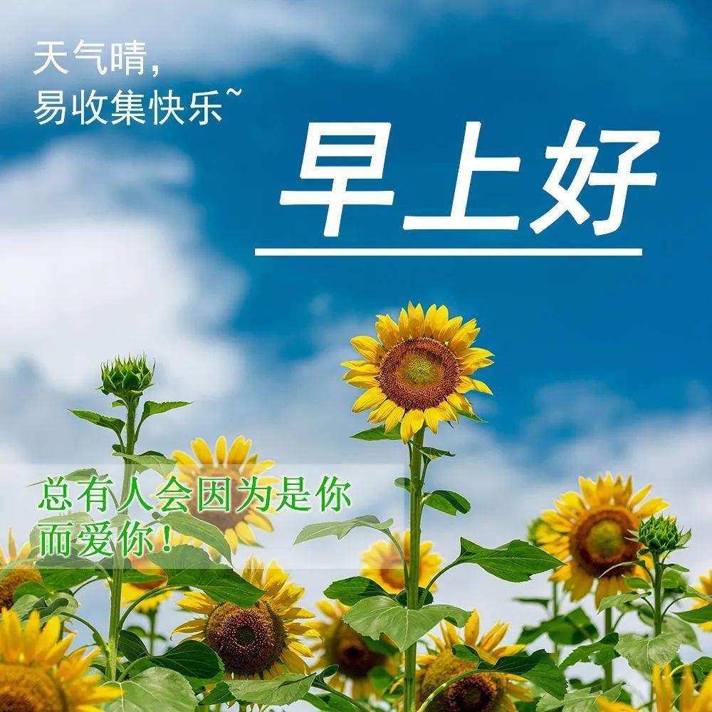 最新版最漂亮的早上好短语句子，问候暖心，早安吉祥！-早上好的问候美句图片 简短