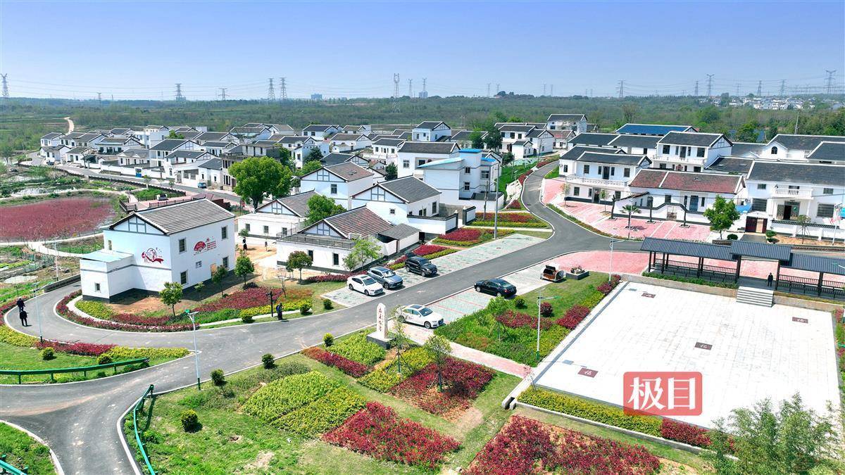 新洲仓埠:保护传统村落,留住美丽乡愁_夏声_仓埠街道_王墩