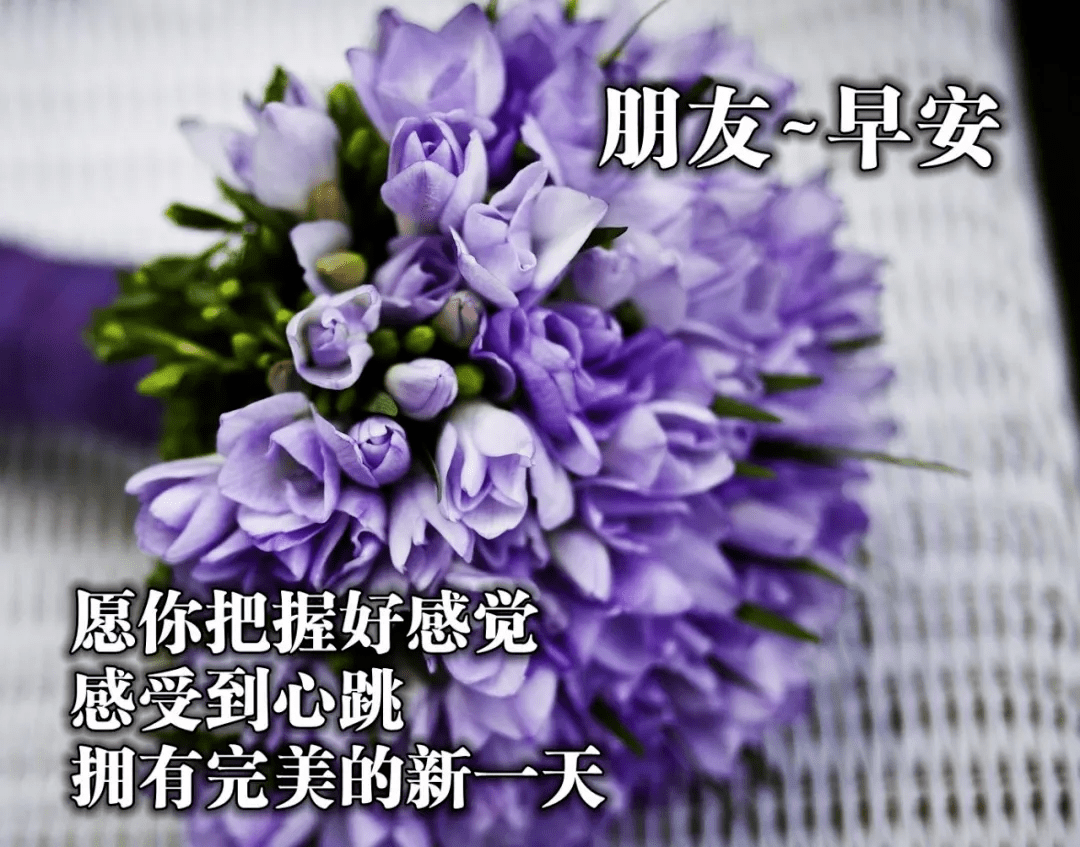 最新版最漂亮的早上好短语句子，问候暖心，早安吉祥！（早上好短句 新版2021）