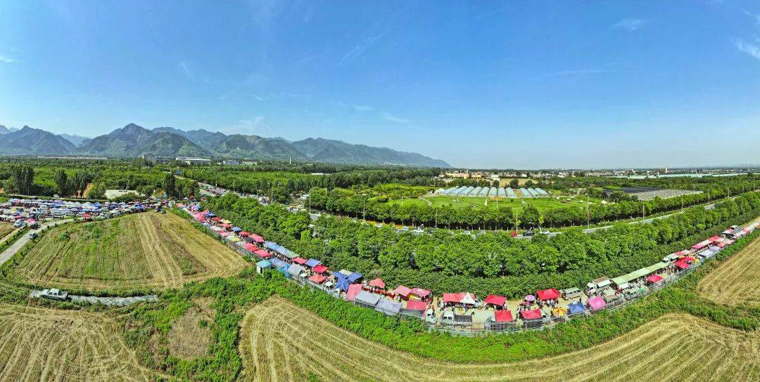 6月11日,秦岭脚下的长安区曹村恰逢集市,热闹非凡.