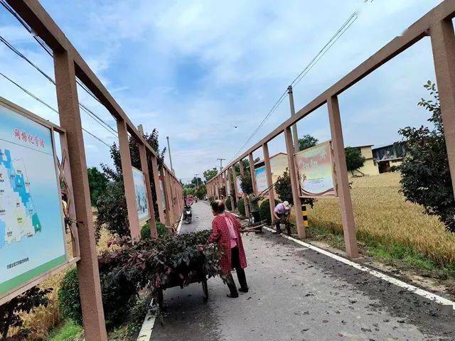 【满意洪绪 文明创建】向"脏乱差"亮剑 向"顽痼疾"开炮——洪绪镇掀起