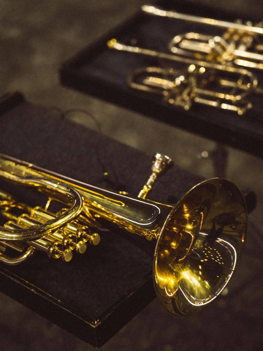 留影丨万能青年旅店2023上海专场官摄_萨克斯_中音_和声