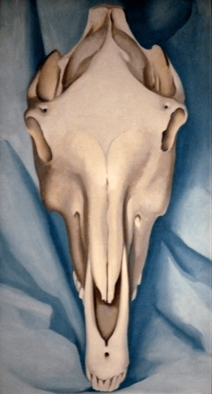 《蓝色背景上的马头骨》(horses skull on blue),1931甚至在笔者看来
