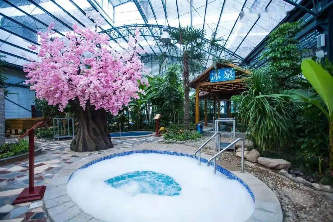 初夏养生正当时,来艳阳度假开启温泉养生之旅_美食_气息_洪泽
