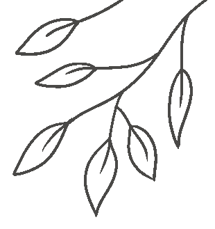 根据这部小说改编的电影《请以你的名字呼唤我》荣获2018年第90届