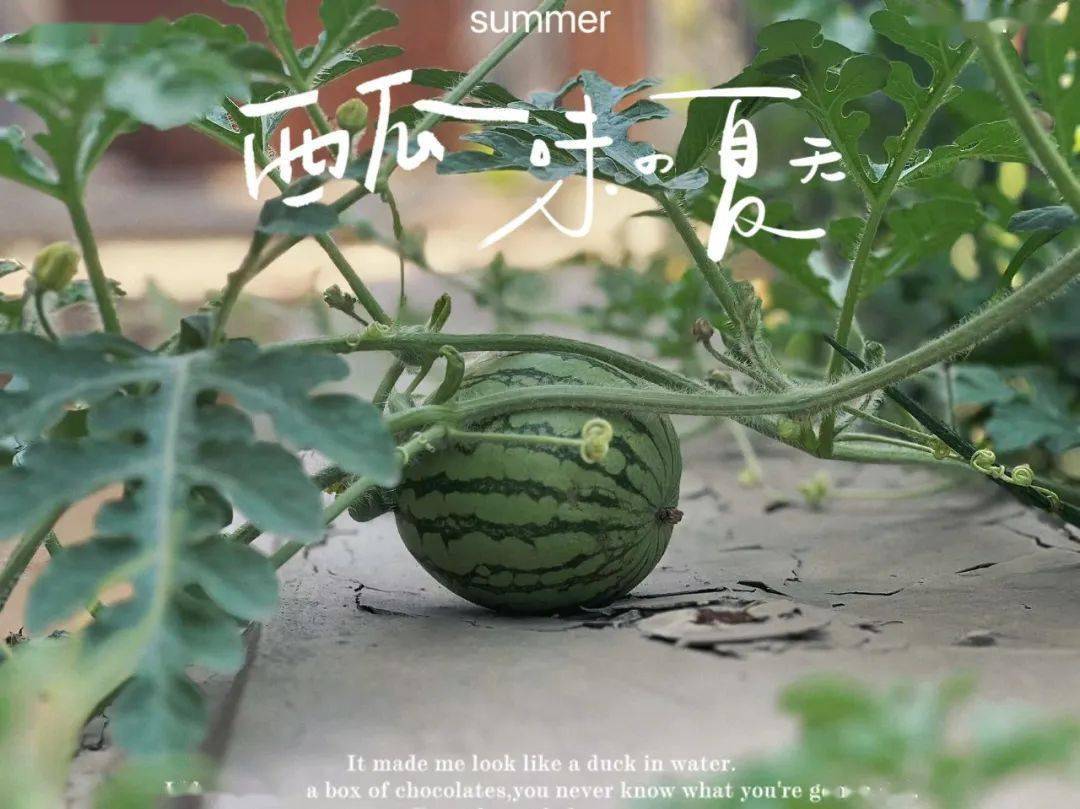 首先你要养生，其次都是其次”_搜狐网