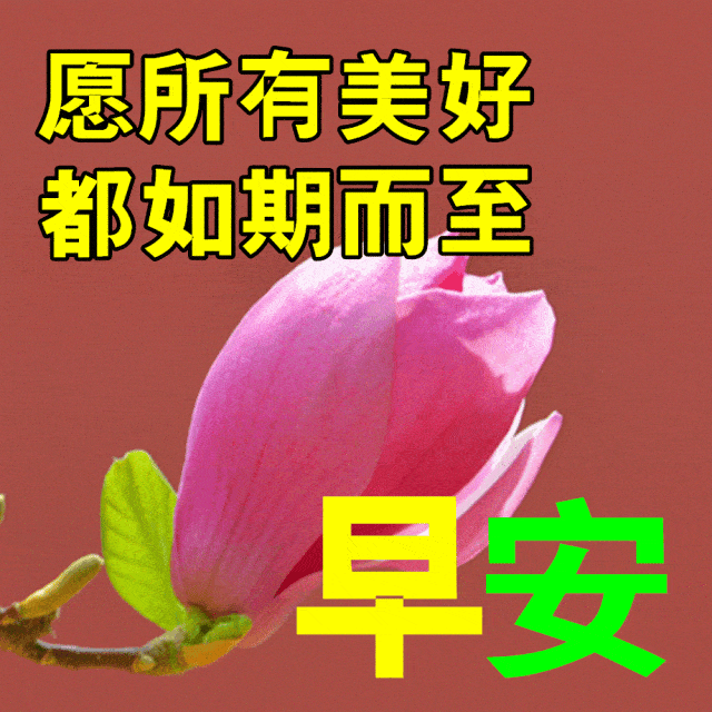 6月15日最漂亮早上好动态表情图片大全_祝福_生活_世界