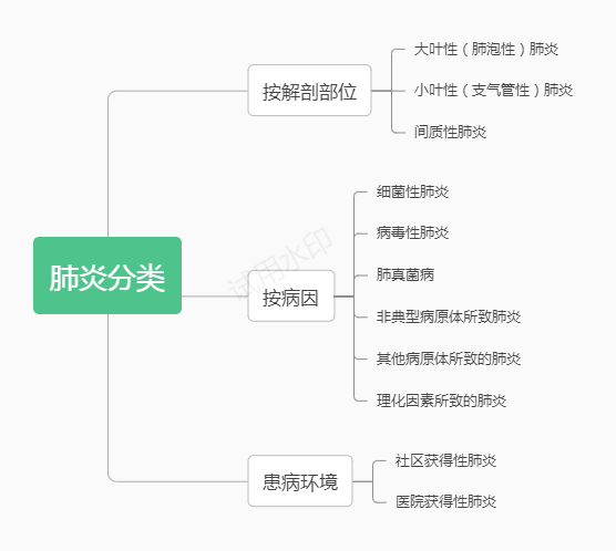 肺部听诊思维导图图片