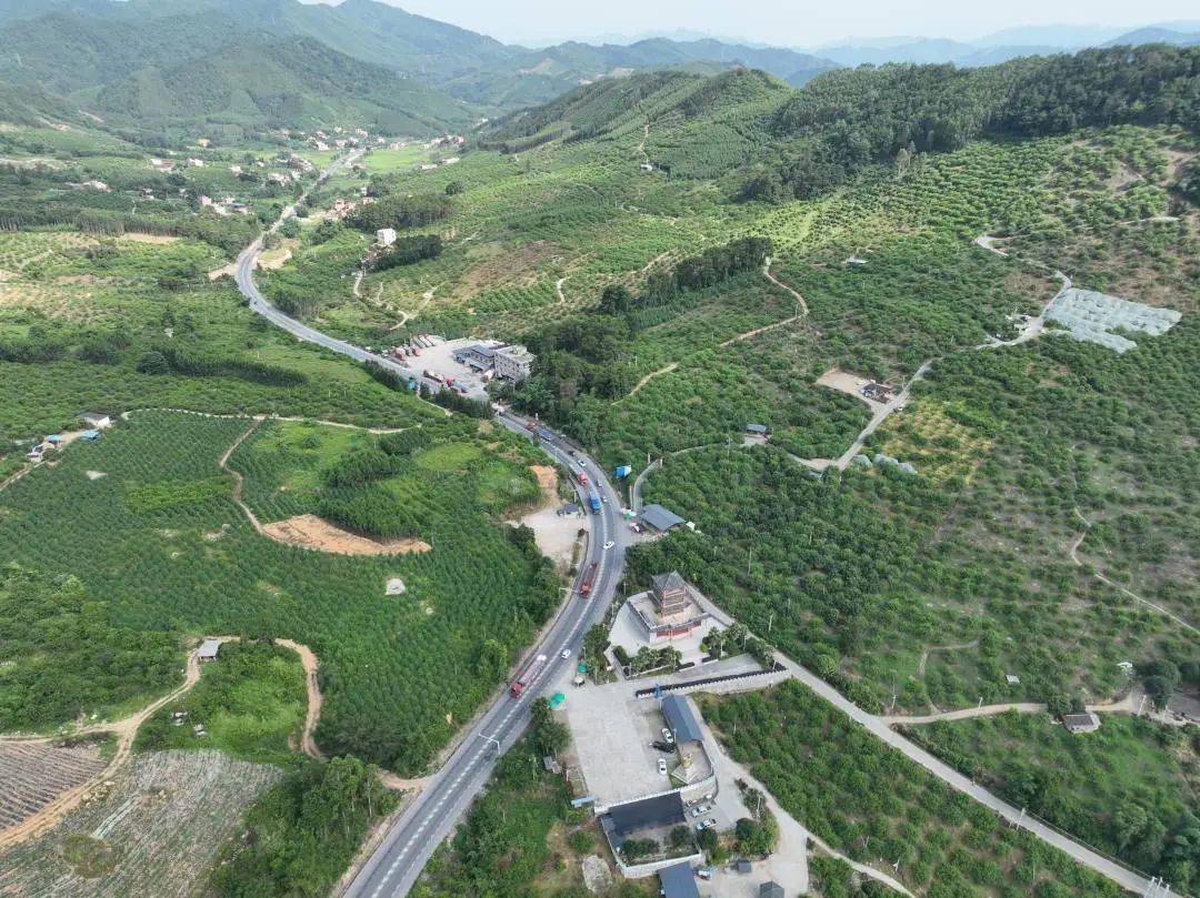 国道207线贺街镇西南村三步梯: 春赏李花 夏秋采果_三华_李子_贺州市