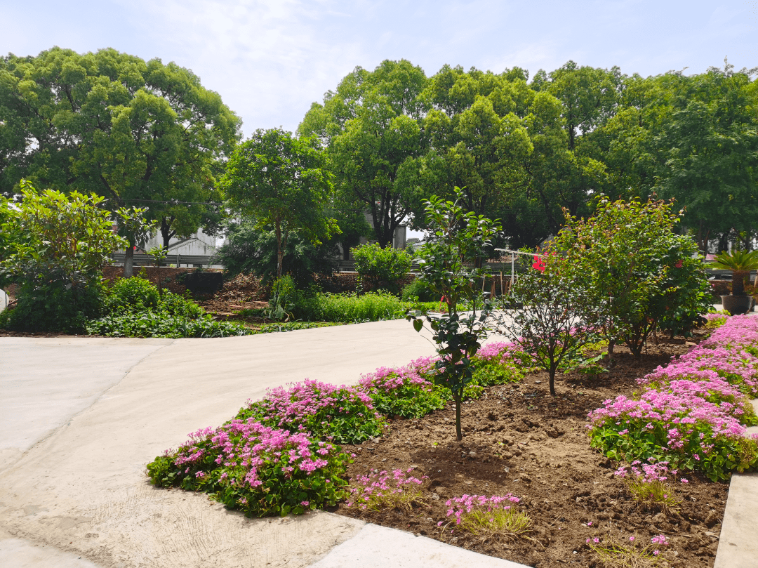 千村美居又上新,遇见尚湖遇见美