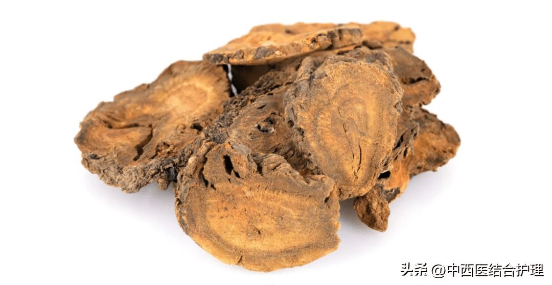 【识中药 】 川大黄_四川省_地区_黄根