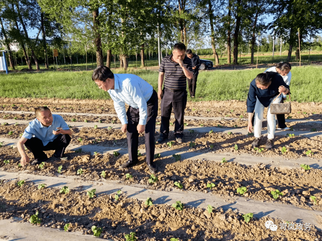 岢岚县针对开春以来一直气候偏冷,及农作物出苗期气候干旱,部分乡(镇)