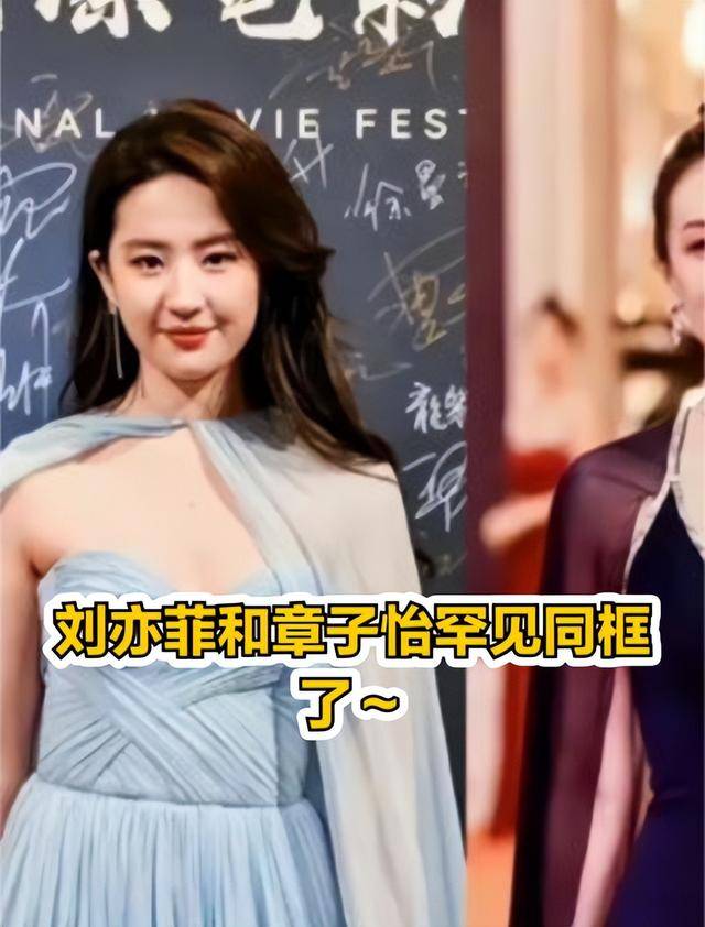 章子怡与刘亦菲同框:演绎神仙打架的时刻_照片_魅力_心态