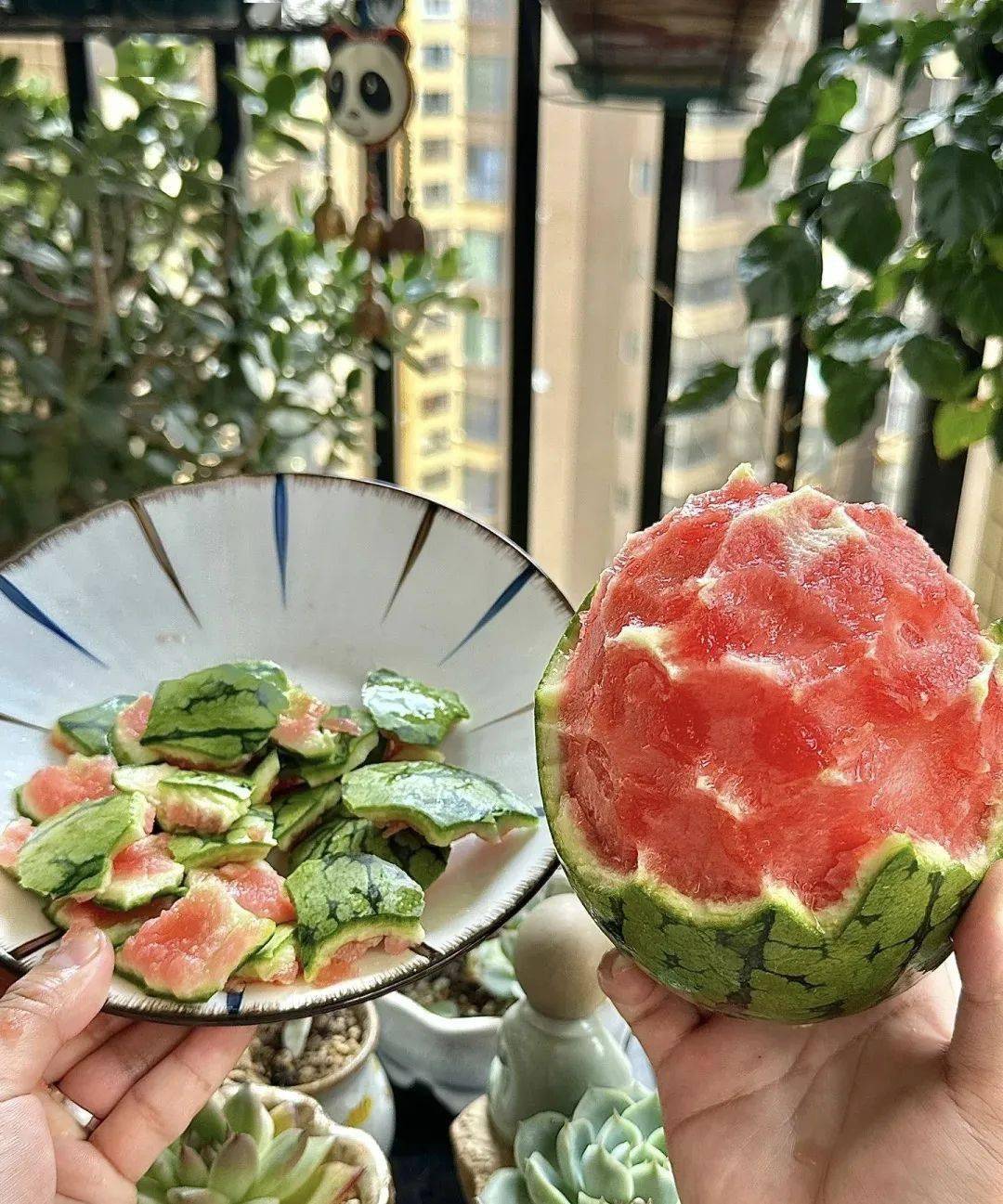 茶店拿比特小西瓜甜蜜"风暴"来袭!_种植_万山_就业