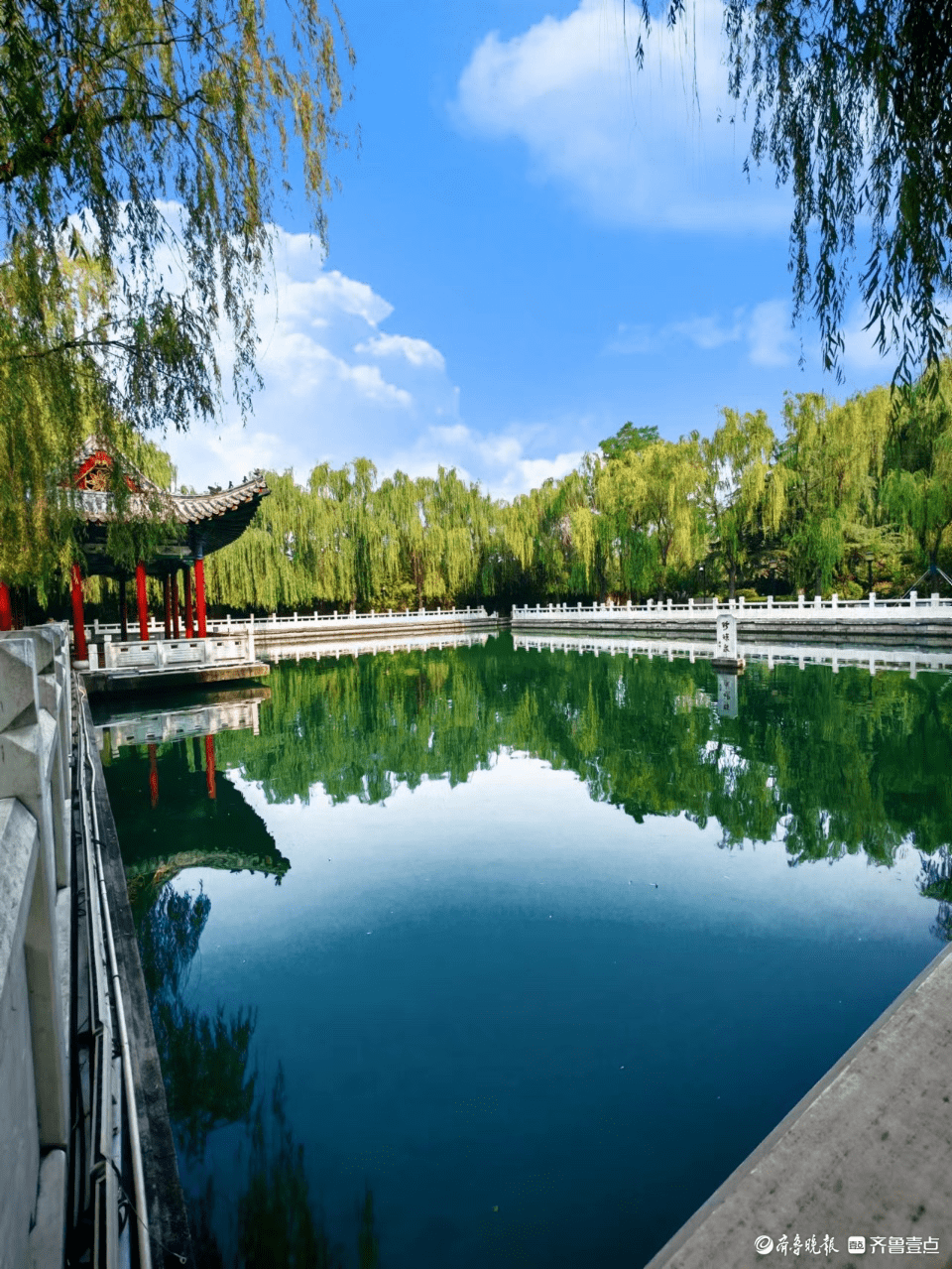 初夏时分的珍珠泉,泉水潺潺满目青翠_济南_冯崇杰_大院