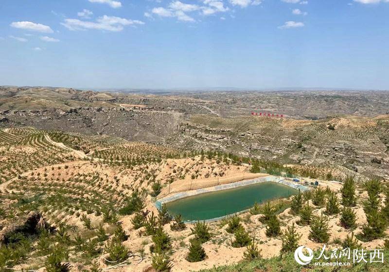 我国53%的可治理沙化土地得到治理_防沙_荒漠化_治沙