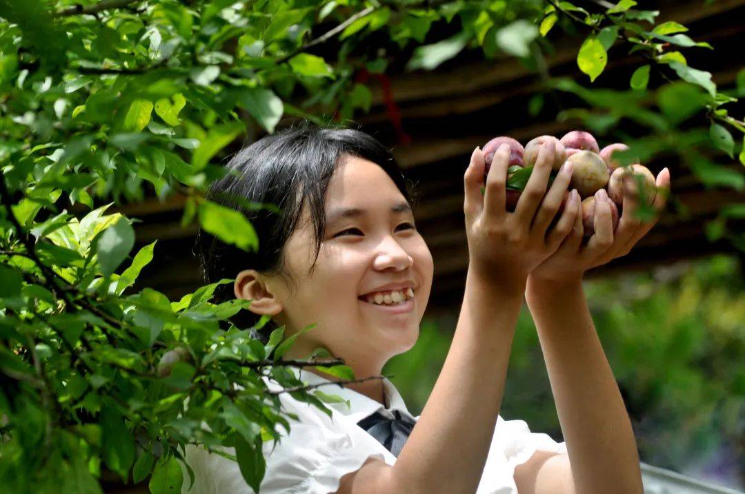 图源 封开县融媒体中心△近日,广东电视台主持人王茗心专门来到封开