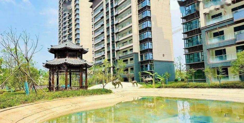 蝉鸣夏意 家音如期丨城豪·金鼎学府6月家书_项目_配套_发展