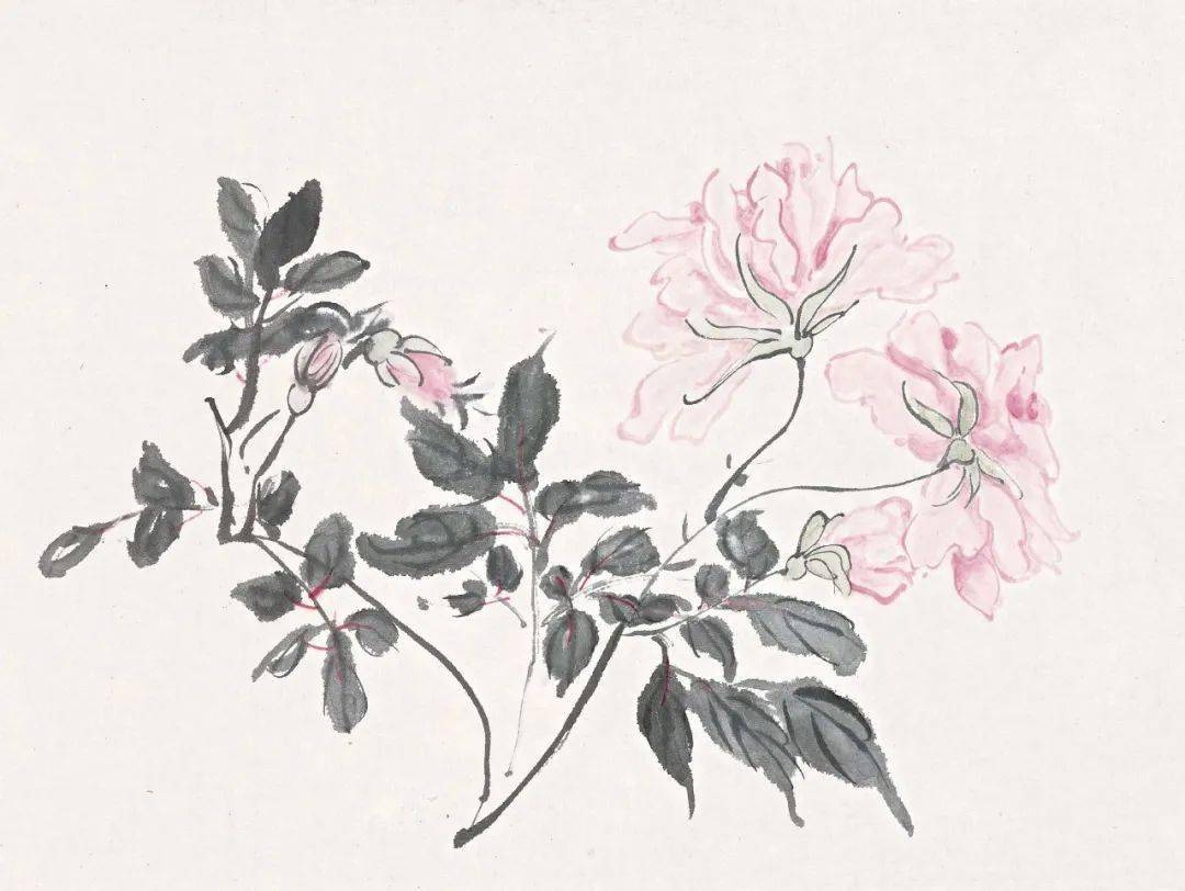 賓虹 花卉圖 黄宾虹的花鸟画“风致妍雅，有水流花放之妙”_局部_cm_花卉