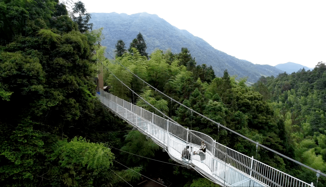 高州仙人洞景区对应届高考生免门票,可凭"准考证"入景区_青春_压力_大