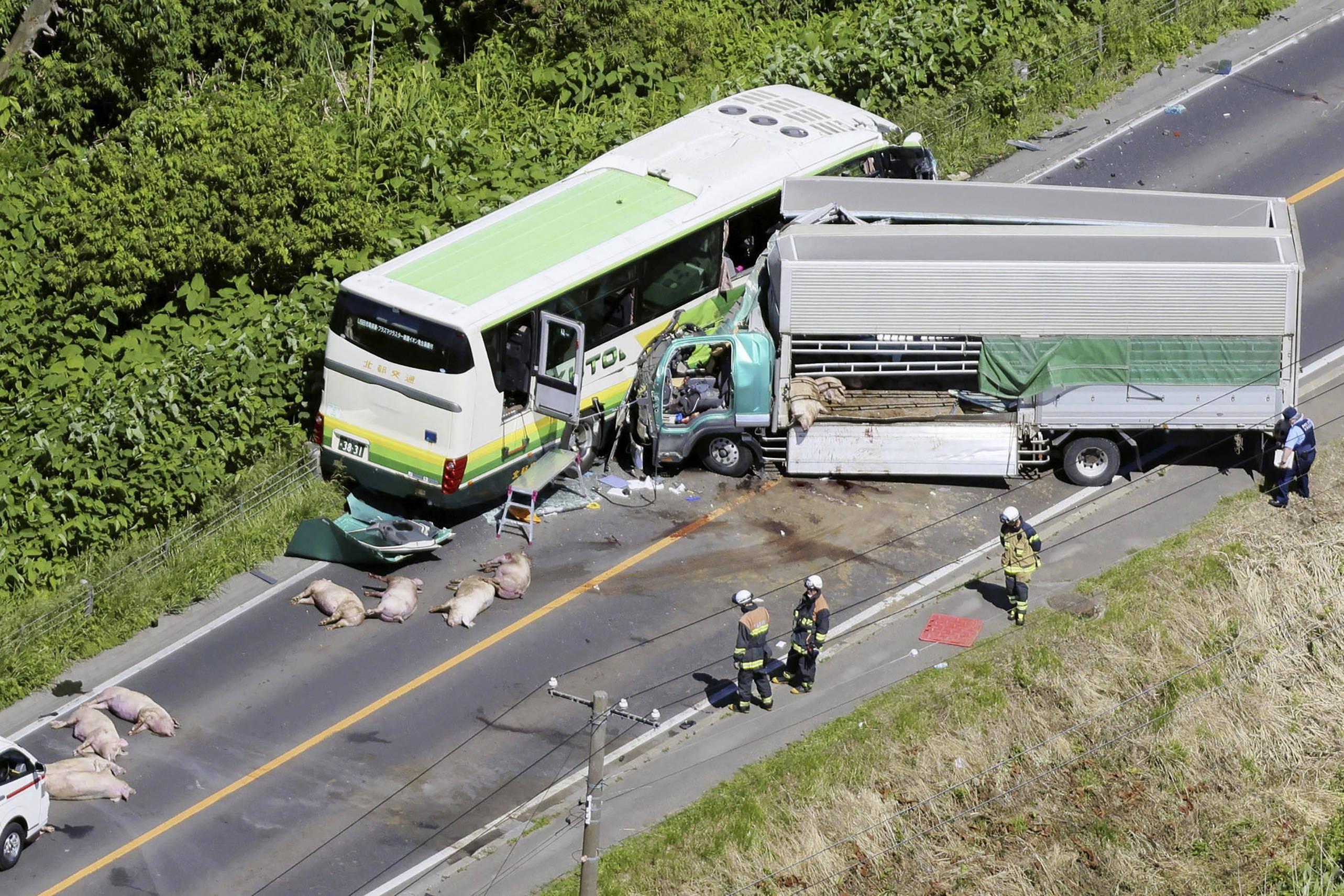 北海道两车迎面相撞5人死亡_巴士和_八云_卡车