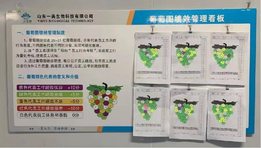 【聚焦人大专项评议】五色葡萄绘出食品安全健康图谱